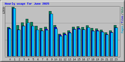 Hourly usage for June 2025