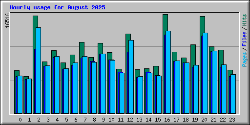 Hourly usage for August 2025
