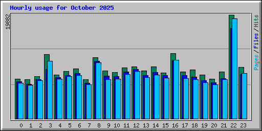 Hourly usage for October 2025