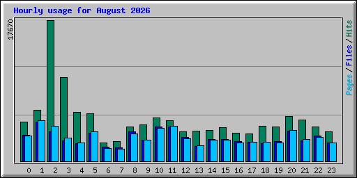 Hourly usage for August 2026